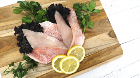 Ocean perch fillets sold by King Tide Seafood Provisions