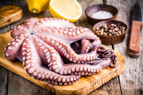 Whole Octopus for sale by King Tide Seafood Provisions